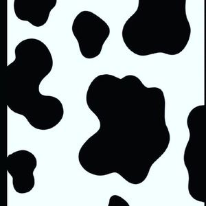 Meet your Posher, Ava